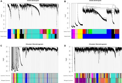 Common Gene Modules Identified for Chicken Adiposity by Network Construction and Comparison